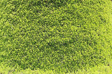 联动电影第三部 《侏罗纪世界：进化2》资料片公布