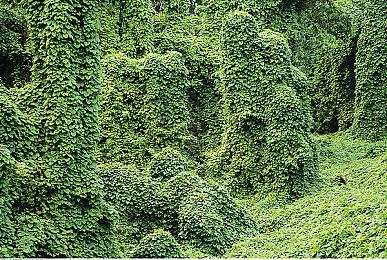 [F5]进取游戏发布会明晚7:30举行 《剑侠图》它来了